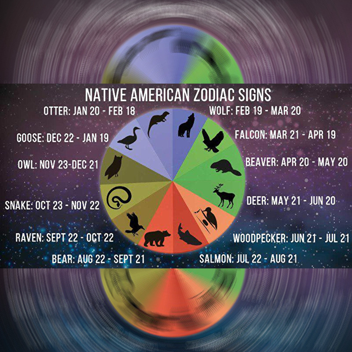 Native Specis Sign American Zodiac Animals What Your Native American Zodiac Signs Are