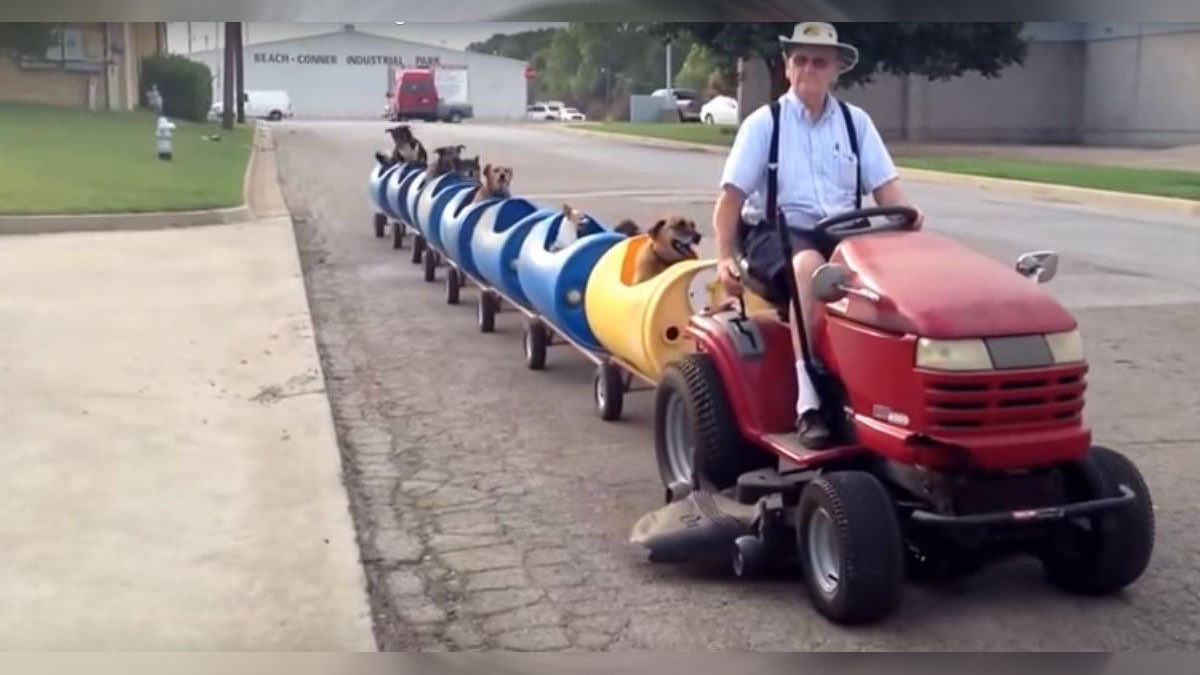 Retired Man Takes Rescue Dogs On 'Dog Train' Rides To Bring Them Joy