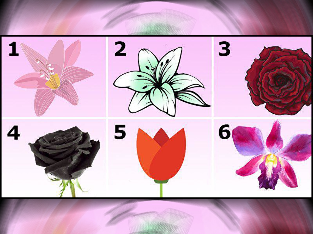 Choose The Most Beautiful Flower And Discover A Beautiful Secret About Your Personality