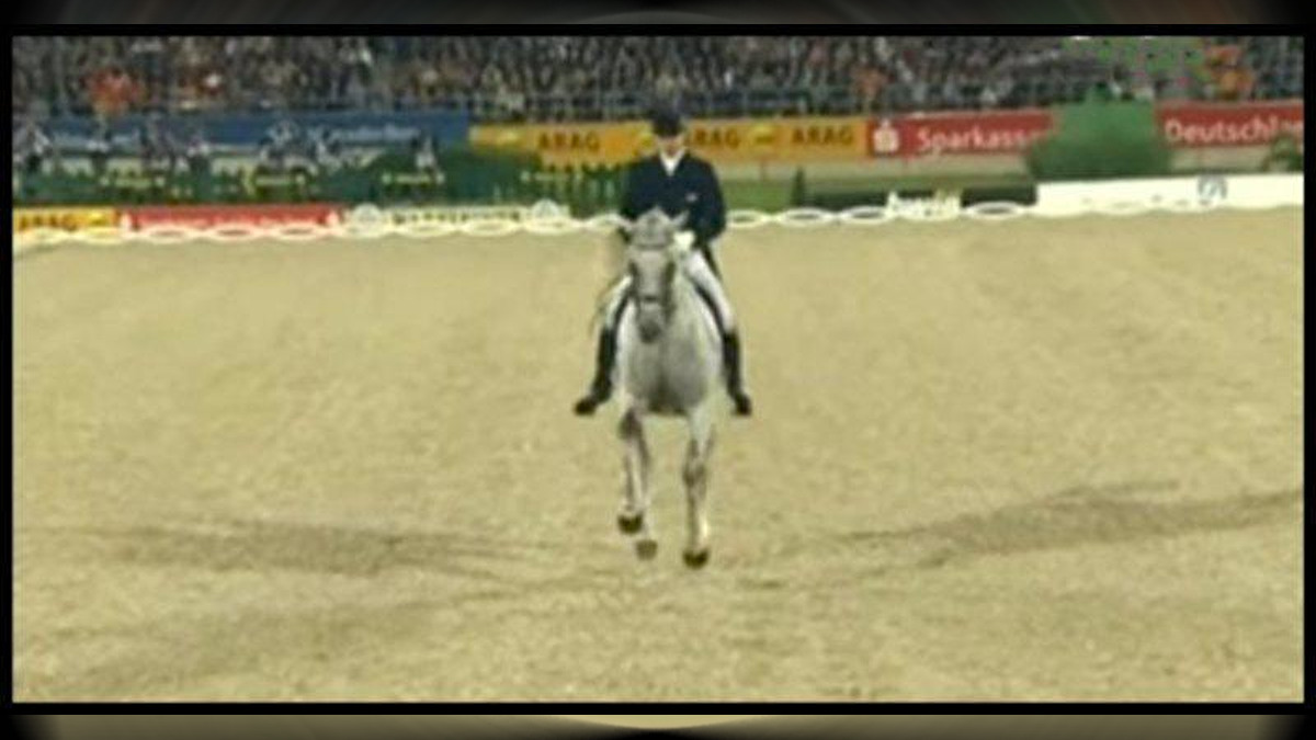 Horse Walks In. When The Music Switches, The Routine Left Everyone's Mouths  Wide Open